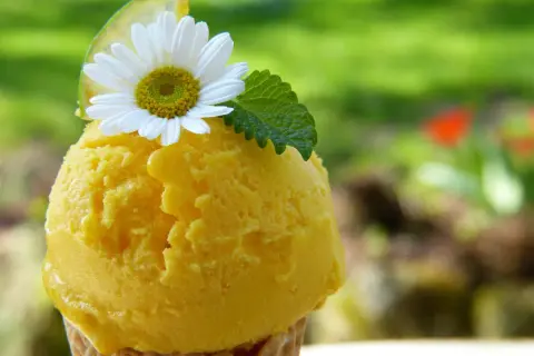Delicioso helado de naranja en cono, adornado con una flor blanca, hoja de menta y rodaja de lima. Un placer refrescante bajo el sol.