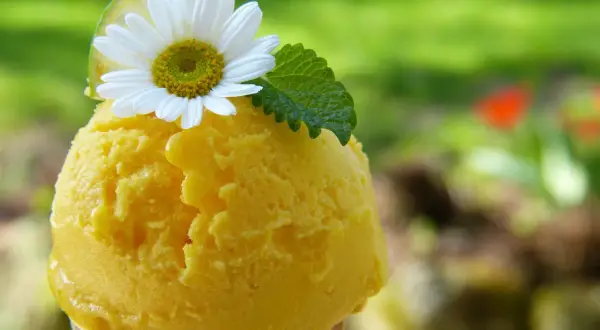 Delicioso helado de naranja en cono, adornado con una flor blanca, hoja de menta y rodaja de lima. Un placer refrescante bajo el sol.