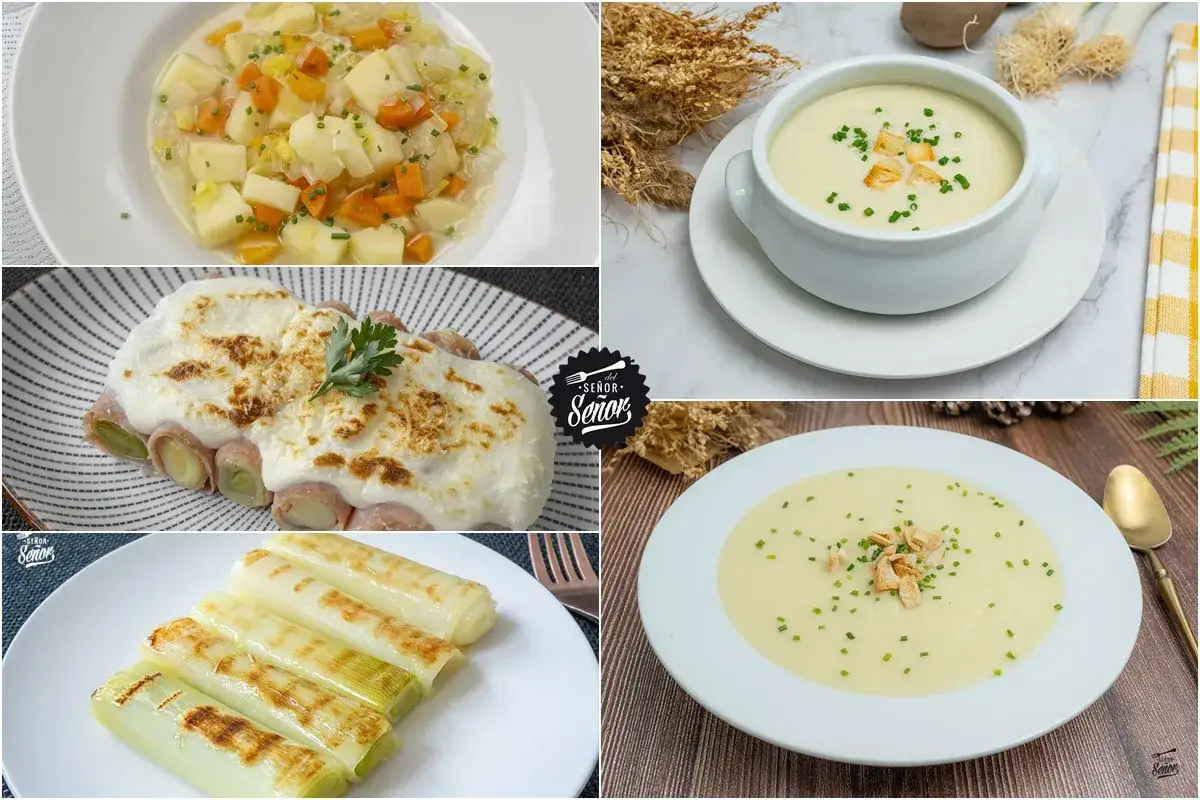 Variedad de recetas con puerros: sopa cremosa, puerros gratinados con jam&oacute;n y puerros asados. &iexcl;Deliciosas ideas para tu cocina!