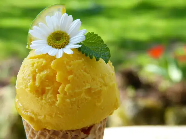 Delicioso helado de naranja en cono, adornado con una flor blanca, hoja de menta y rodaja de lima. Un placer refrescante bajo el sol.